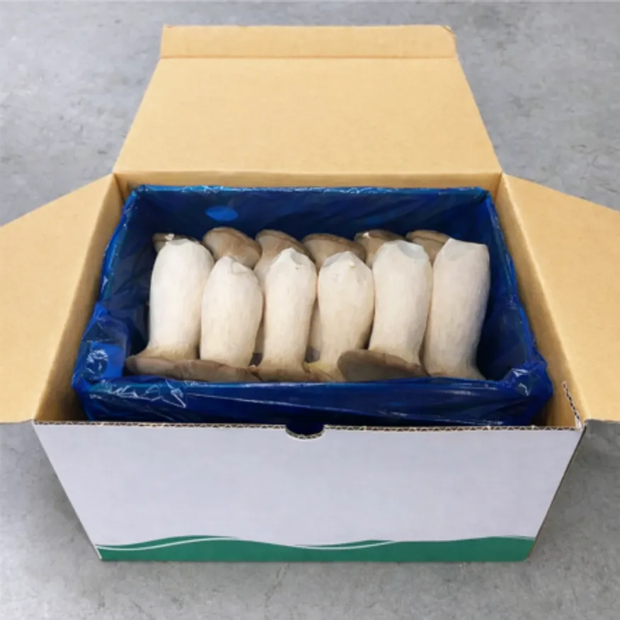 ★식자재전용★ / 새송이버섯 / 상 / 국내산 / 2kg / 1박스 이미지