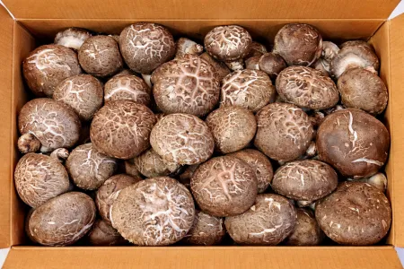 ★ 식자재 특가상품 ★ 표고버섯 상 1kg 수입산 1박스