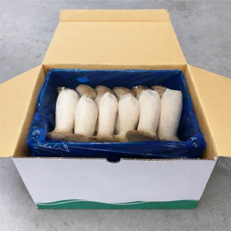 ★ 정품 특상품 ★ 새송이버섯 특 2kg 국내산 1박스