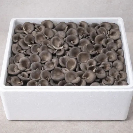 ★ 식자재 특가상품 ★ 꽃느타리버섯 상 2kg 국내산 1박스