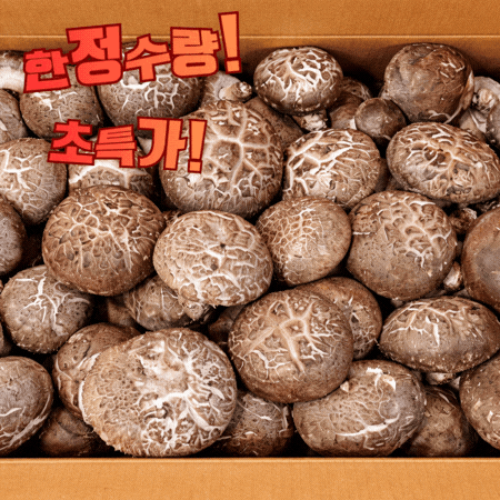 ★ 식자재 특가상품 ★ 표고버섯 상 1kg 수입산 1박스