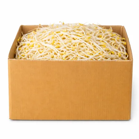 ★ 식자재 특가상품 ★ 숙주나물  3.5kg 국내산 1박스