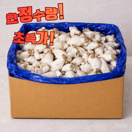 ★ 식자재 특가상품 ★ 콩알새송이버섯 상 2kg 국내산 1봉