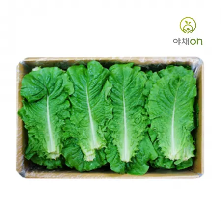 청상추:박스(2kg) 이미지