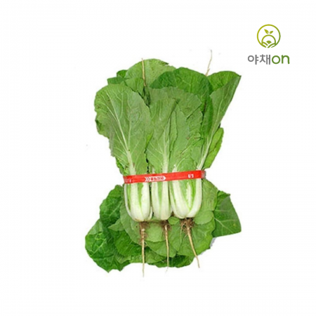단배추(얼갈이):단 이미지