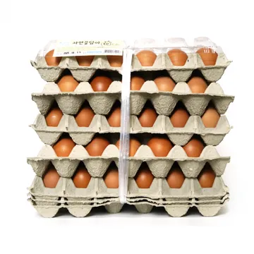 계란(국내산-특란)30구-5묶음