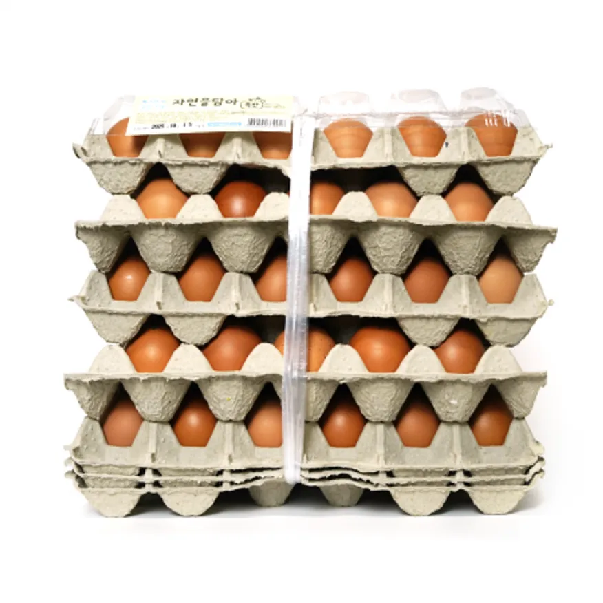 계란(국내산-특란)30구-5묶음 이미지