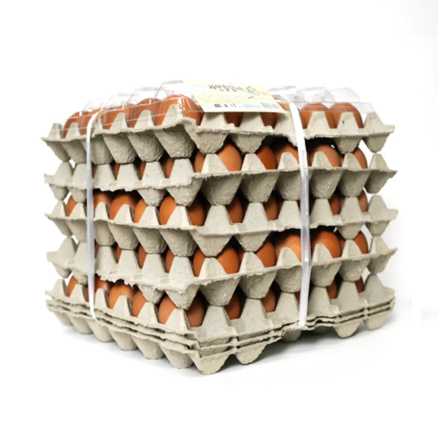 계란(국내산-특란)30구-5묶음 이미지