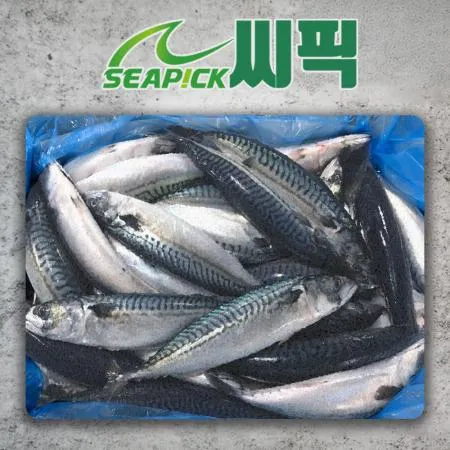★하나라도 무료직배송★ 업소용 노르웨이 고등어 300/500 20kg 씨픽!
