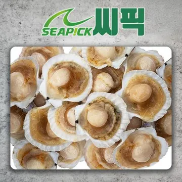 ★하나라도 무료직배송★ 업소용 반가리비 5/6미 20팩 1.8kg+1.8kg 씨픽!