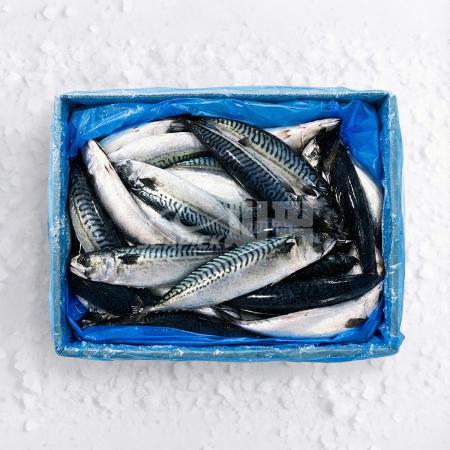 ★무료직배송★ 업소용 노르웨이 고등어 400/600 20kg 씨픽!