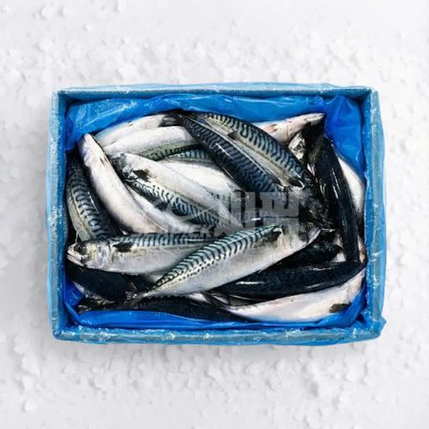 ★무료직배송★ 업소용 노르웨이 고등어 400/600 20kg 씨픽! 이미지
