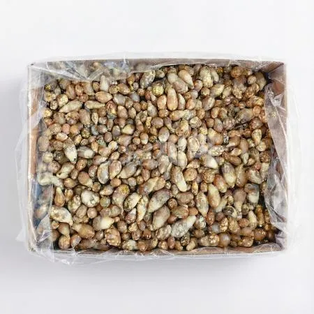 ★무료직배송★ 업소용 국산 오만둥이 냉동 10kg 씨픽! 이미지