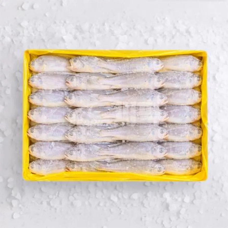 ★무료직배송★ 업소용 참조기 50/52 3.5kg 씨픽! 이미지