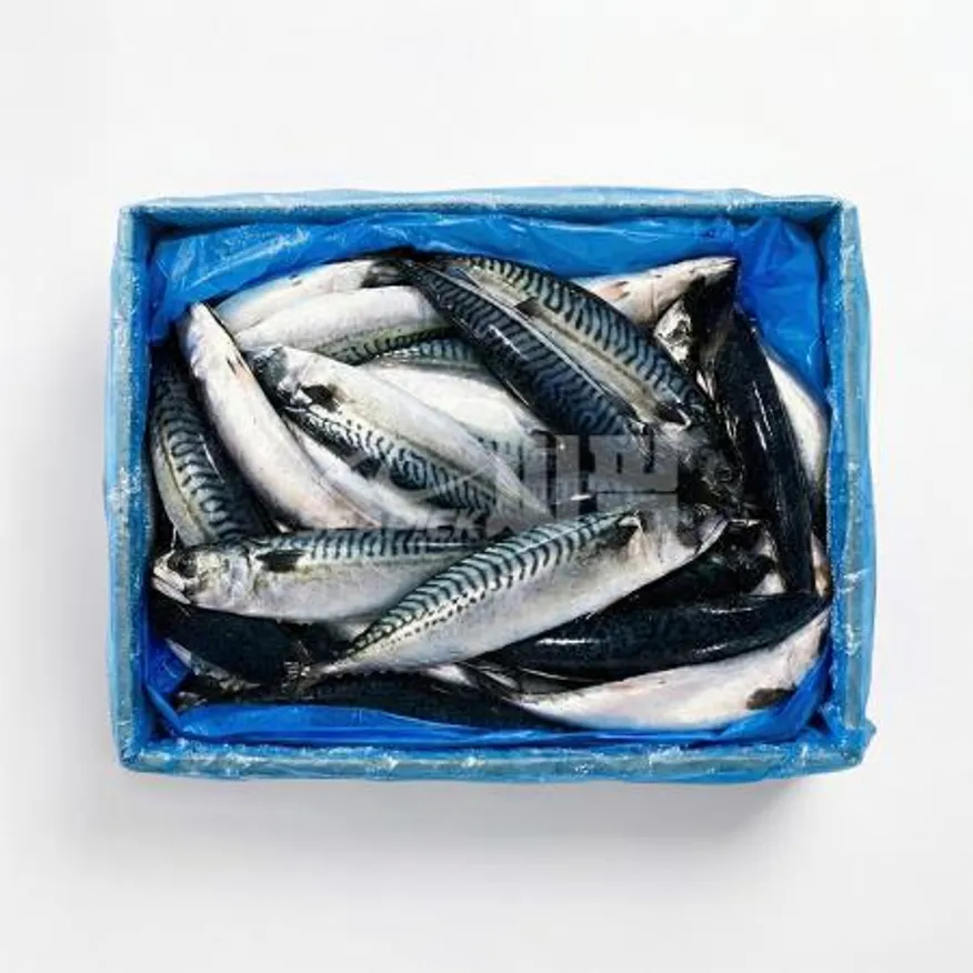 ★무료직배송★ 업소용 노르웨이 고등어 400/600 20kg 씨픽! 이미지