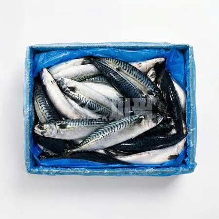 ★무료직배송★ 업소용 노르웨이 고등어 400/600 20kg 씨픽! 이미지