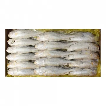 부세 조기(200/300) 3.4kg(15~16미)