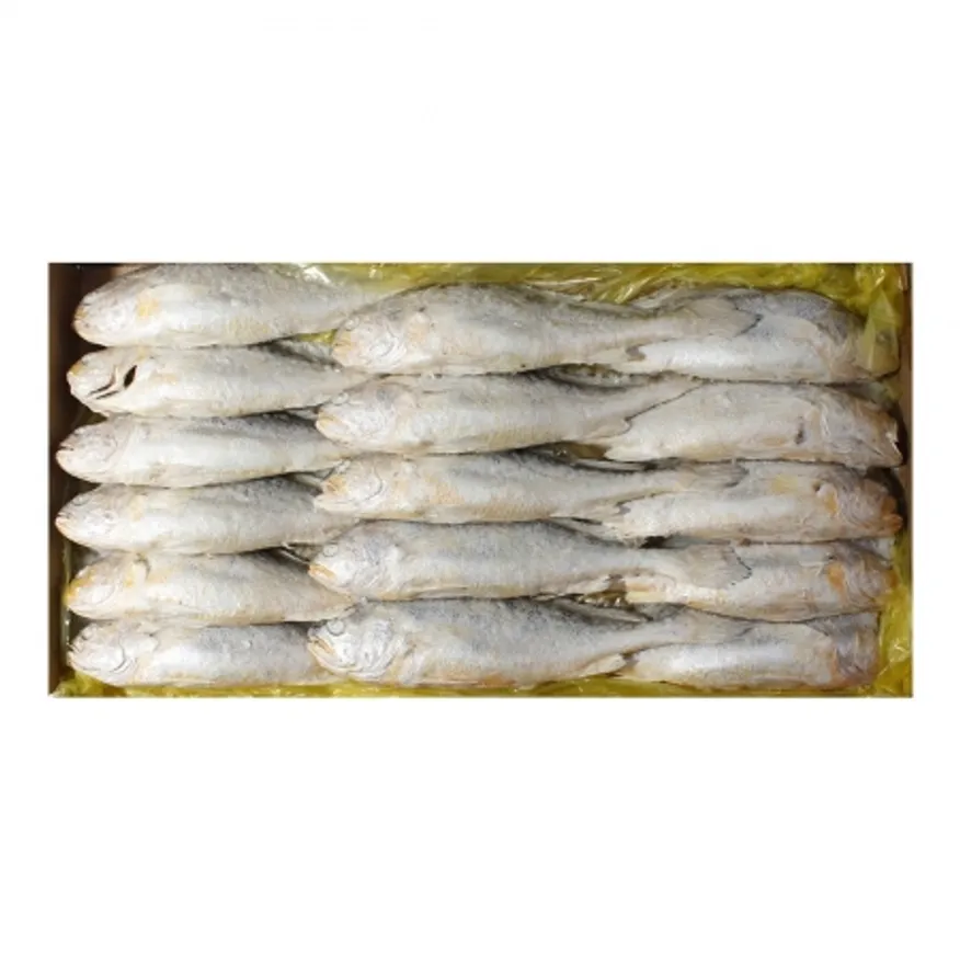 부세 조기(200/300) 3.4kg(15~16미) 이미지