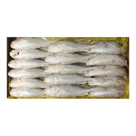 부세 조기(200/300) 3.4kg(15~16미)