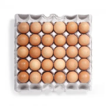 대란(국내산) 30구