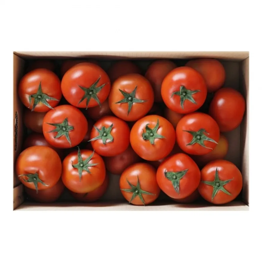 완숙토마토(국산) 5kg(박스) 이미지