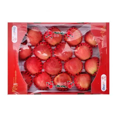 충주사과선물세트 5kg(14~16과) 이미지