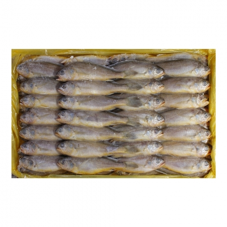 별조기 18cm내외(61~63미)