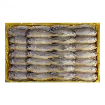 별조기 18cm내외(61~63미)