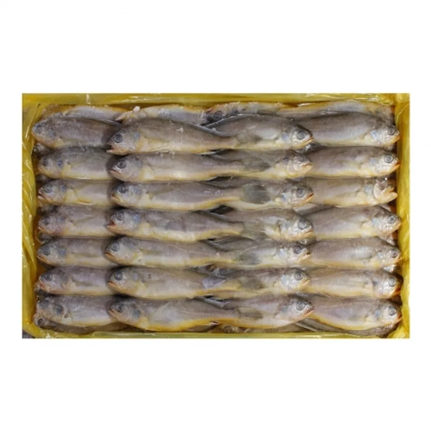 별조기 18cm내외(61~63미) 이미지