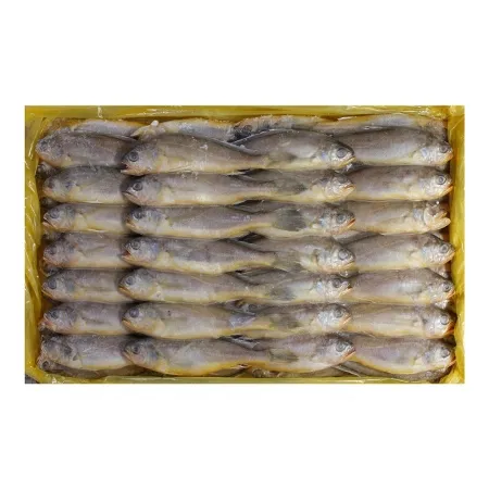 별조기 18cm내외(61~63미)