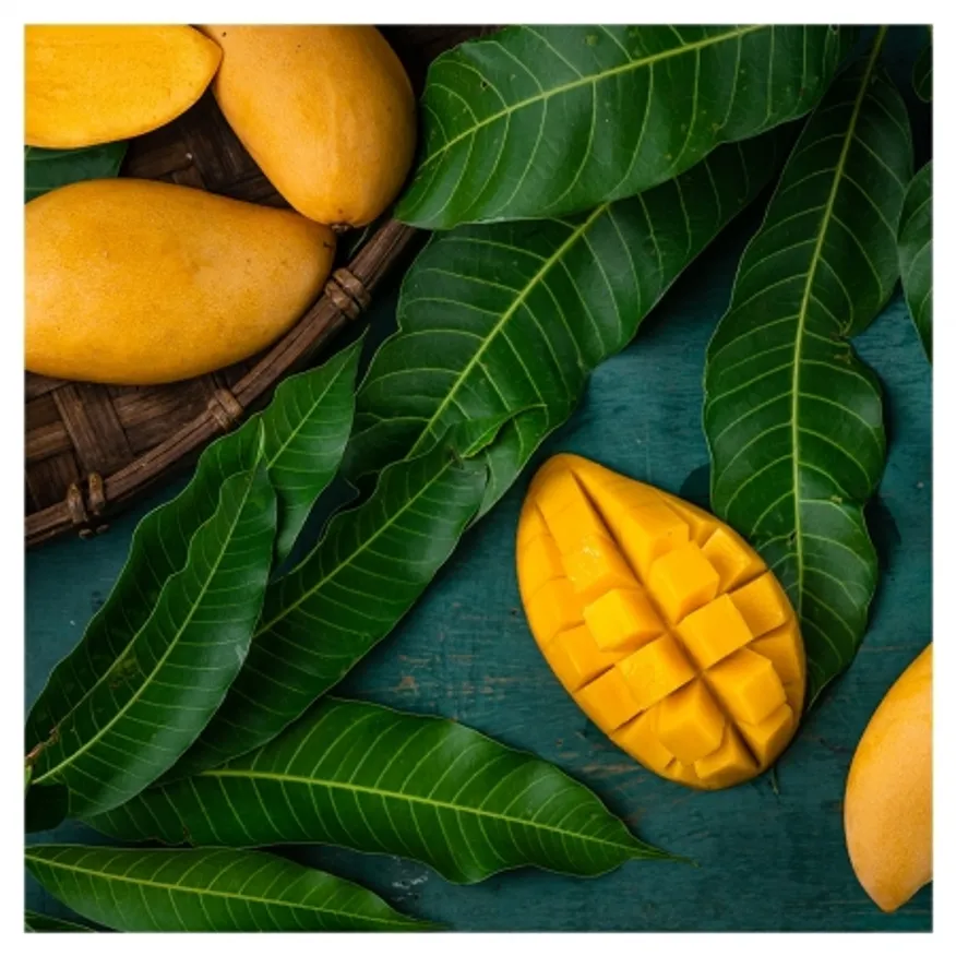 골드망고 2개 이미지