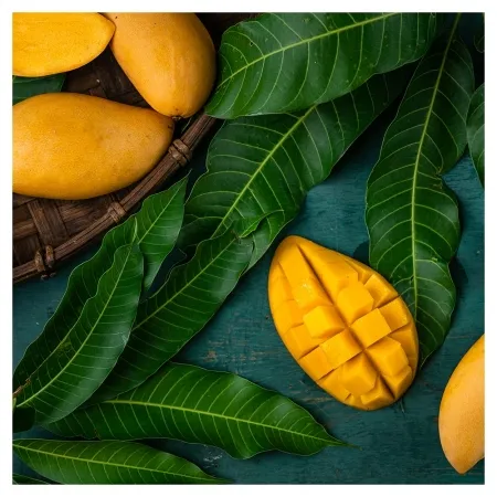 골드망고 2개 이미지