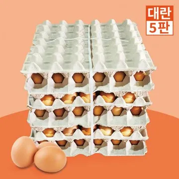 대란 1판(30) 5판단위, 한성 황금계란