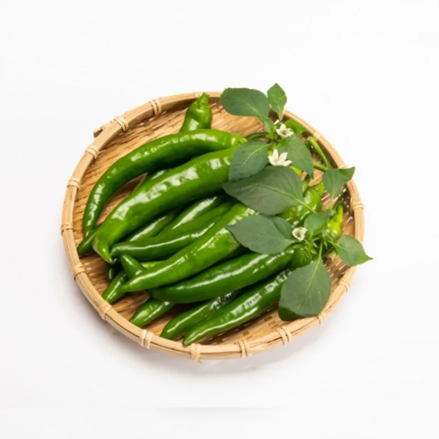 청양고추 1kg 이미지