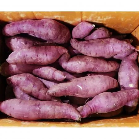 꿀고구마 10kg 1박스 이미지