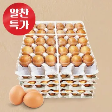 ★계란특가★ 왕란 1판(30) 5판단위, 한성 황금계란