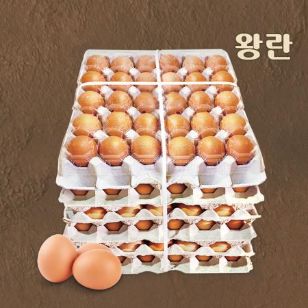 왕란 1판(30) 한성 황금계란