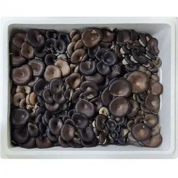 꽃느타리버섯 2kg 1박스 상등급