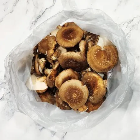 표고버섯 상등급 1kg 국내산