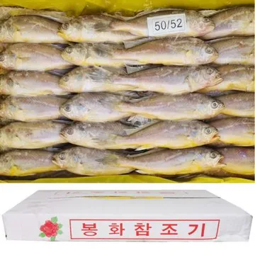 냉동조기 참조기 50/52(ATO)2.5kg