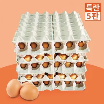 특란1판(30알) 5판단위, 한성 황금계란