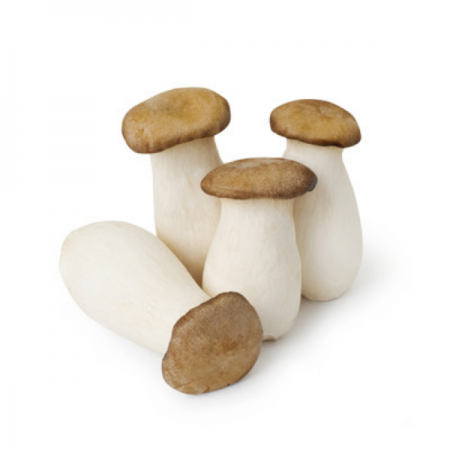 새송이버섯(상품/3cm내외/국산)1kg