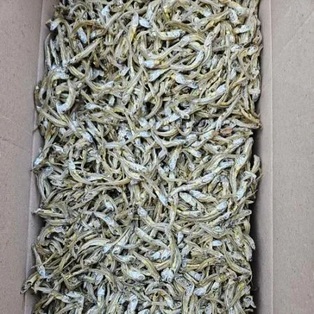 상상이상 국산 냉동 조림용 가이리 멸치 1.5kg