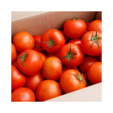 토마토(완숙/1번과/국산)1kg