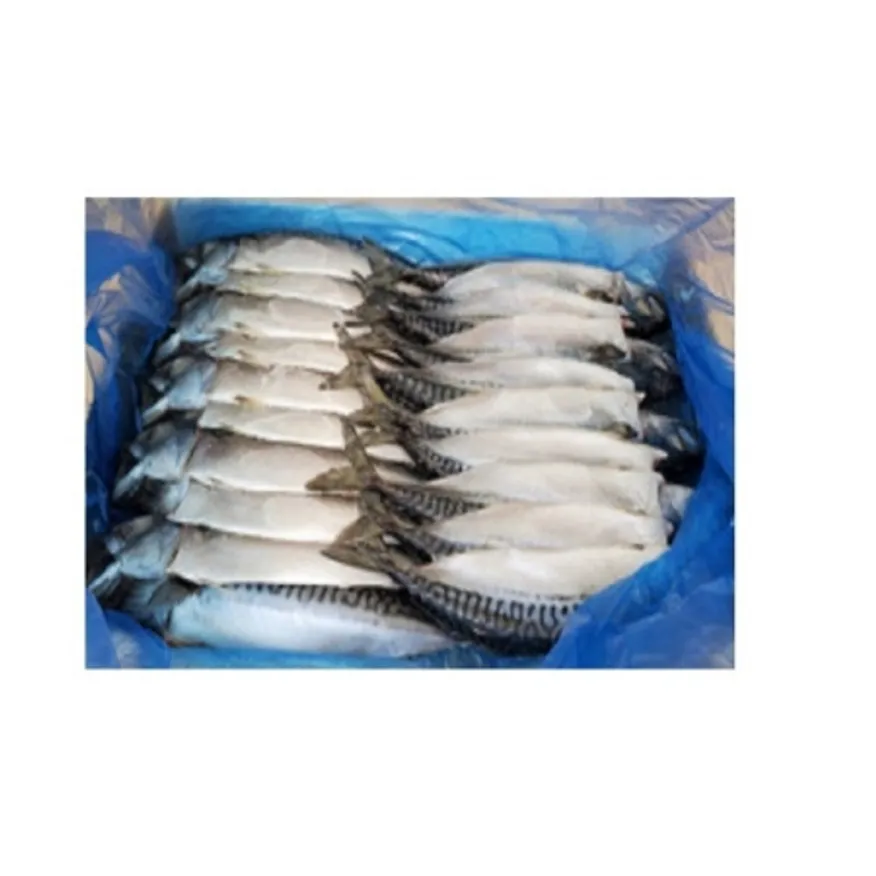 고등어자반(10손/大/노르웨이/냉동/6KG내외)1box 이미지