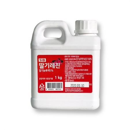 선인 딸기레진 1kg