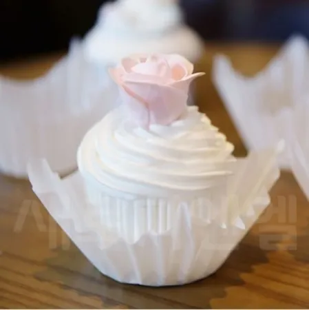 새로 시몬유산지컵 500장