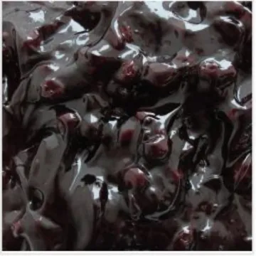 선인 블루베리파이필링 1kg