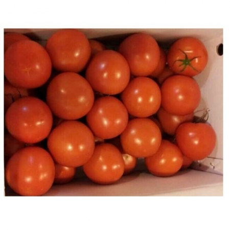 토마토(보통숙/2번과/국산)1kg