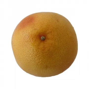 자몽(상품/48과/수입산)300g내외